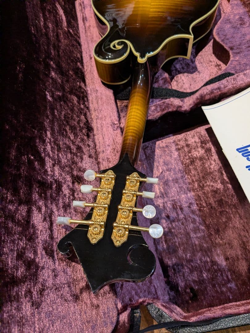 Gibson F-5 Lフラットマンドリン サンバースト | 激安通販のイーサプライ