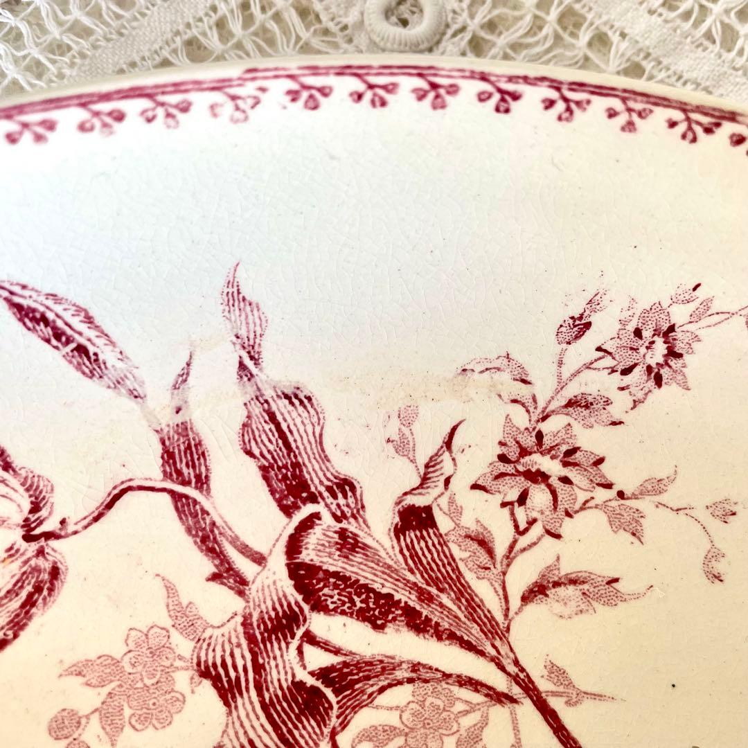 サルグミンヌ フォンタージュ ラヴィエ fontanges フランス