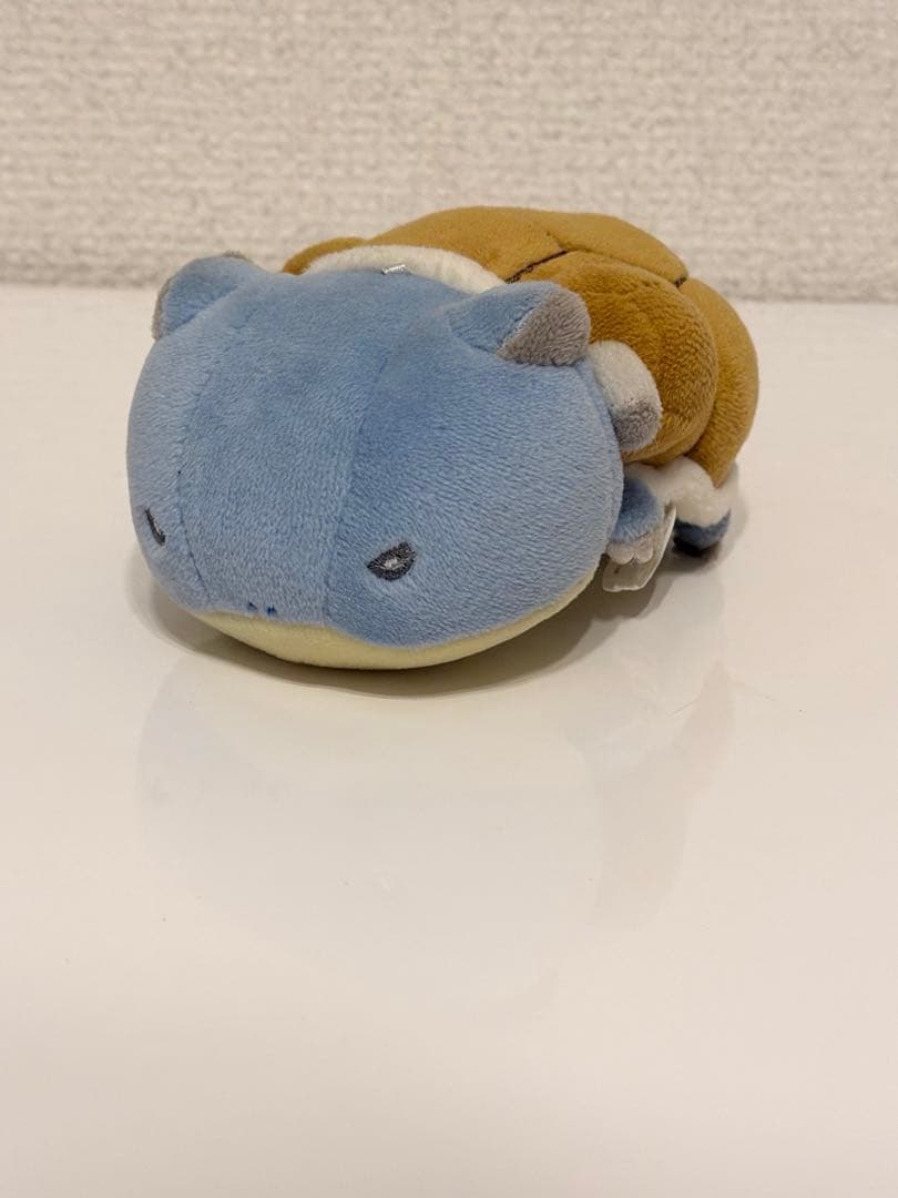 ポケモン　カメックス　マジパン　ポケモンセンター ポケモン カメックス マジパン ポケモンセンター ポケモン マジパン