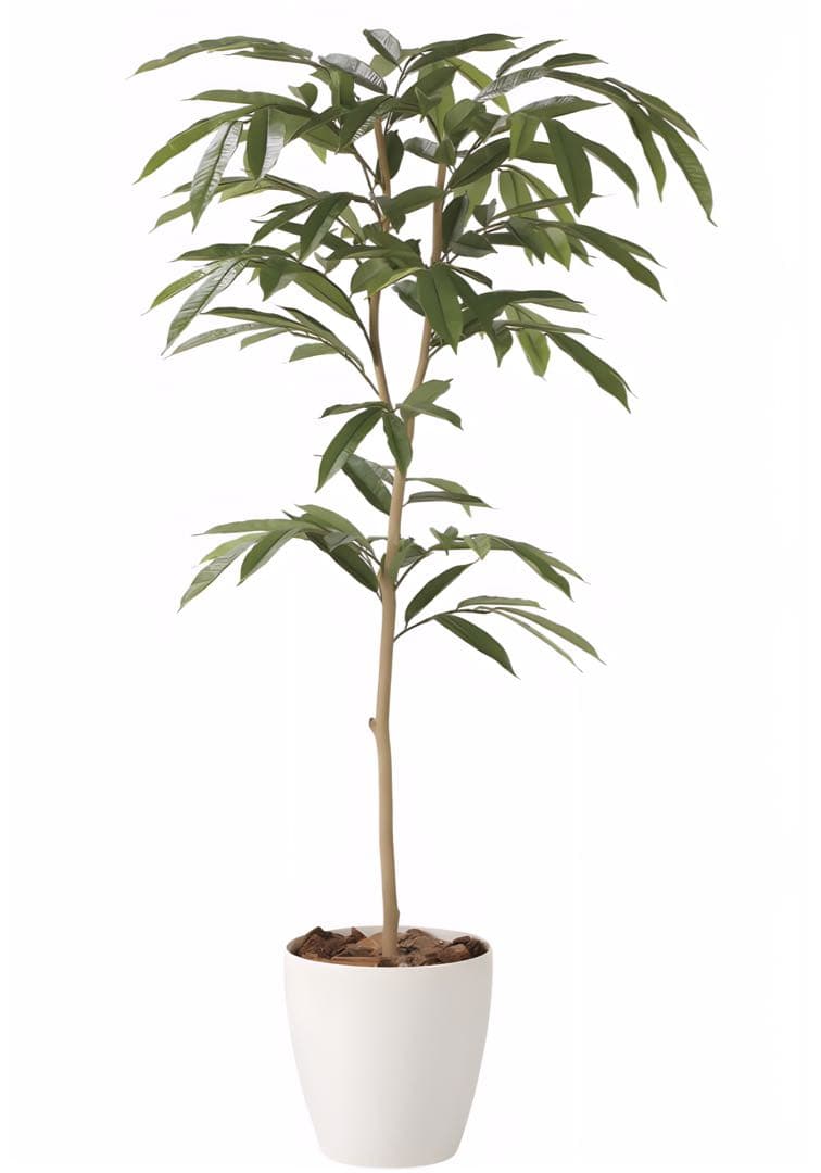光触媒　人工観葉植物　フェイクグリーン　 アムステラバーキング 1.6m