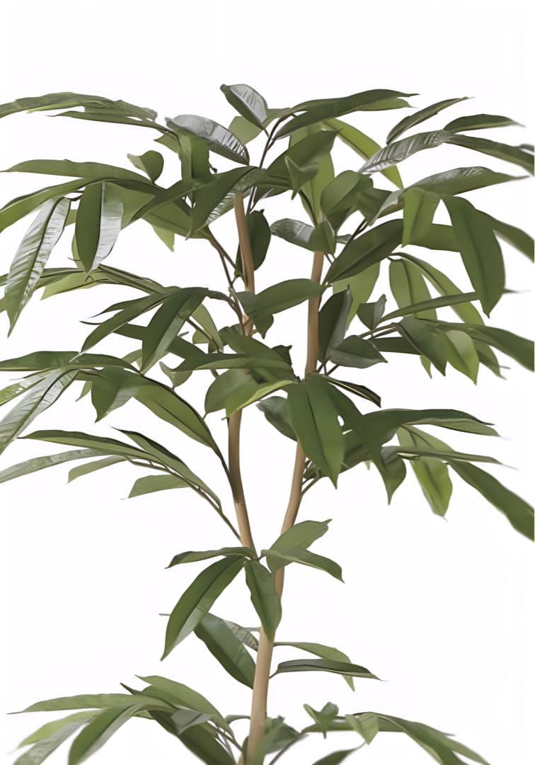 光触媒　人工観葉植物　フェイクグリーン　 アムステラバーキング 1.6m