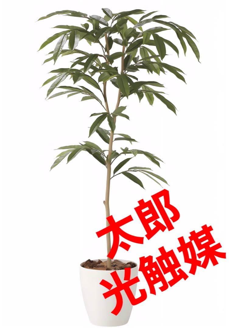 光触媒　人工観葉植物　フェイクグリーン　 アムステラバーキング 1.6m