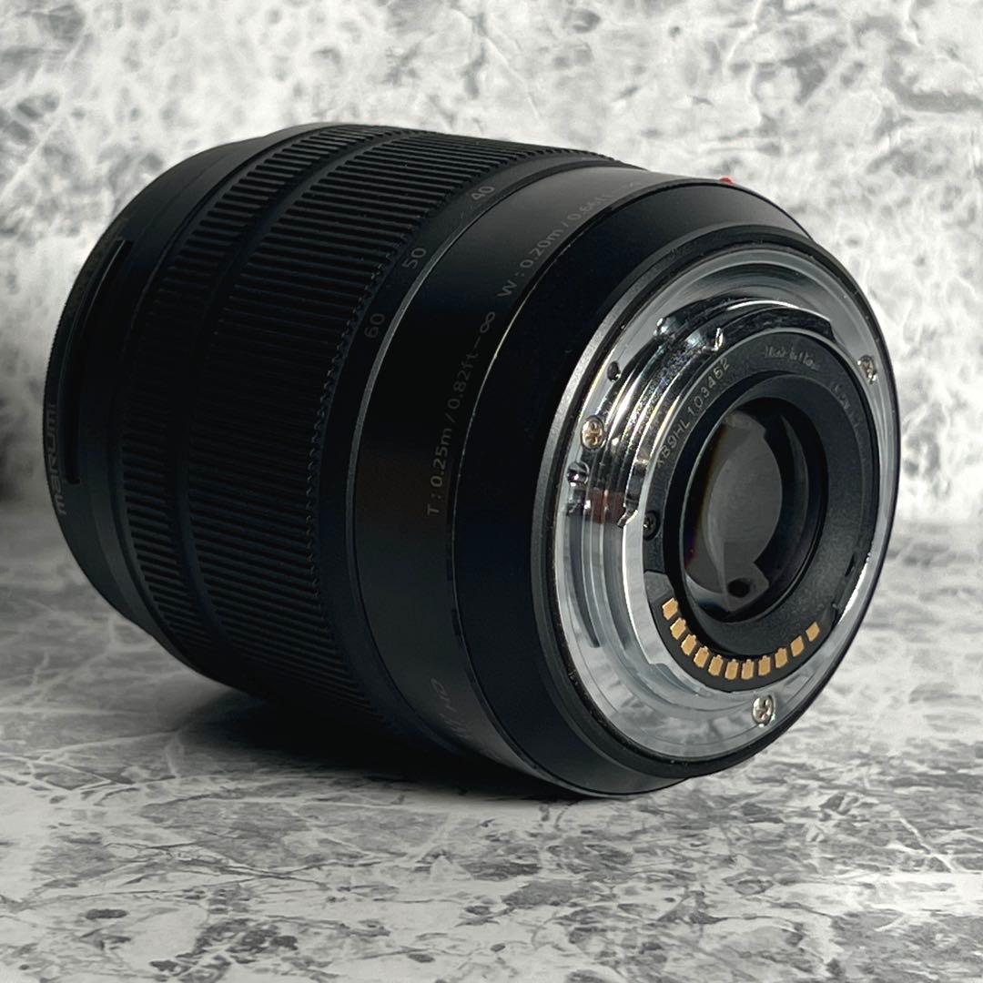 【美品】LUMIX G VARIO 12-60mm F3.5-5.6 MFT