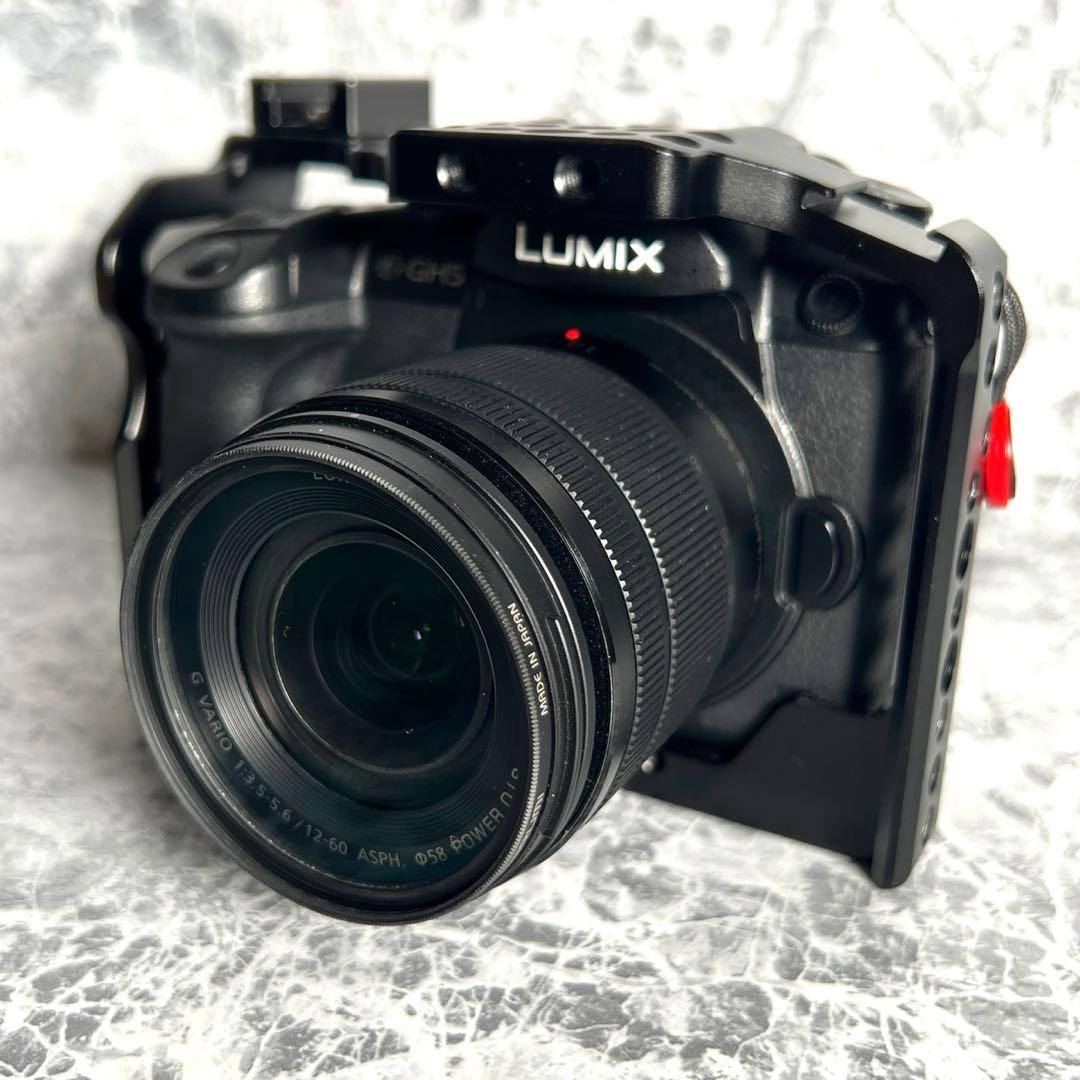 【美品】LUMIX G VARIO 12-60mm F3.5-5.6 MFT