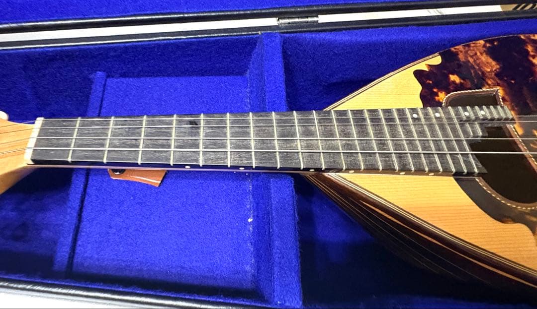 マンドリン 渡辺マンドリンNO.150 手工品 渡辺弦楽器