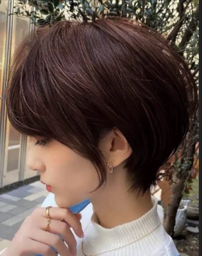 ⭐︎気品人毛100% ショートwig ウィッグBZ20