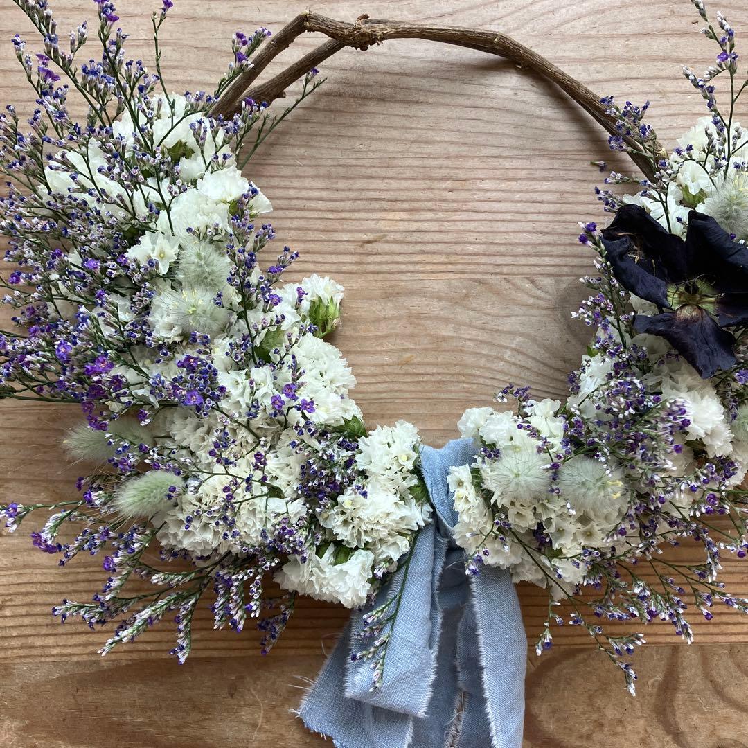 感謝SALEブルーウェーブとスターチスのリース ハイブリットスターチス