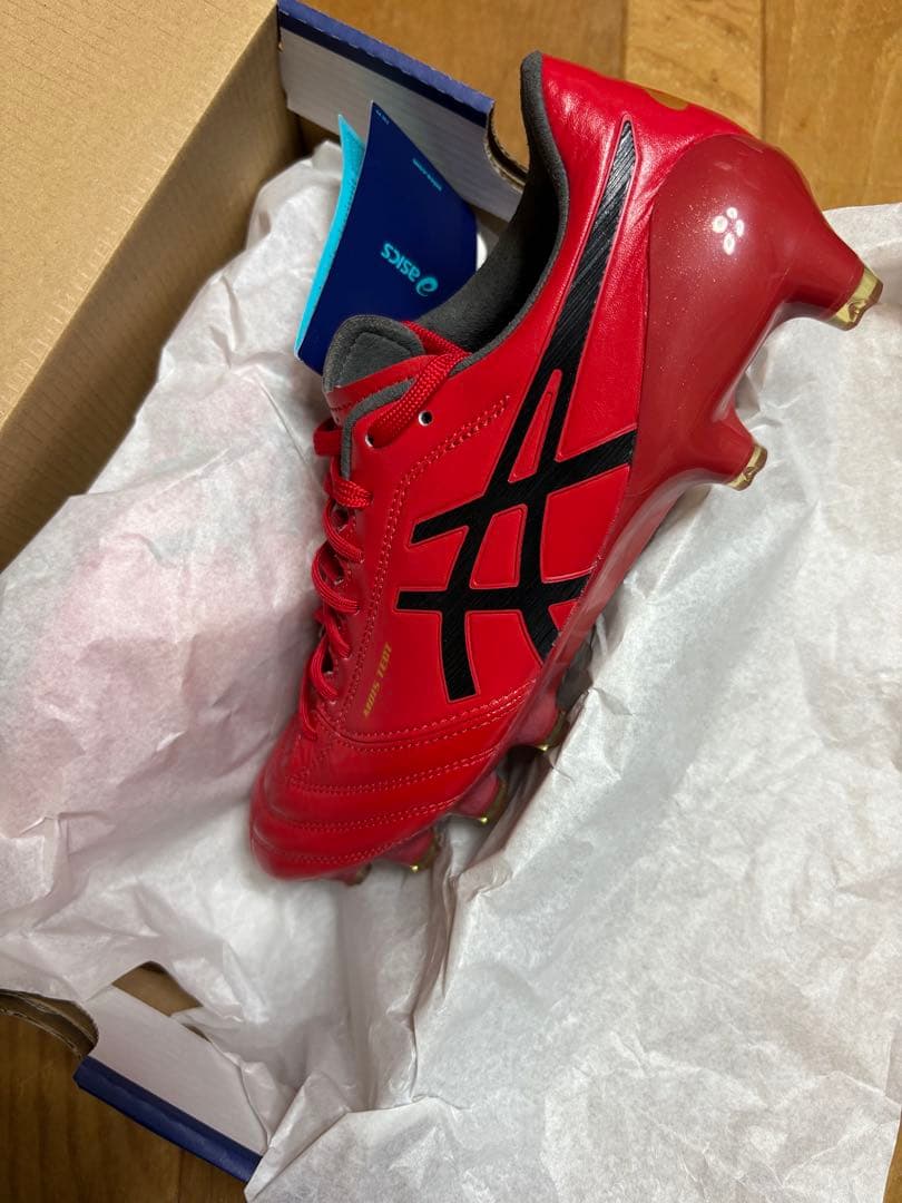 新品 激レア 廃盤 限定カラー アシックス DSライト X-FLY 4 25cm