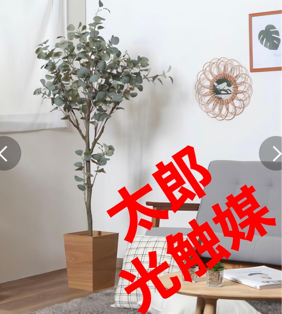 光触媒 人工観葉植物 ウォールグリーン フェイクグリーン ユーカリ