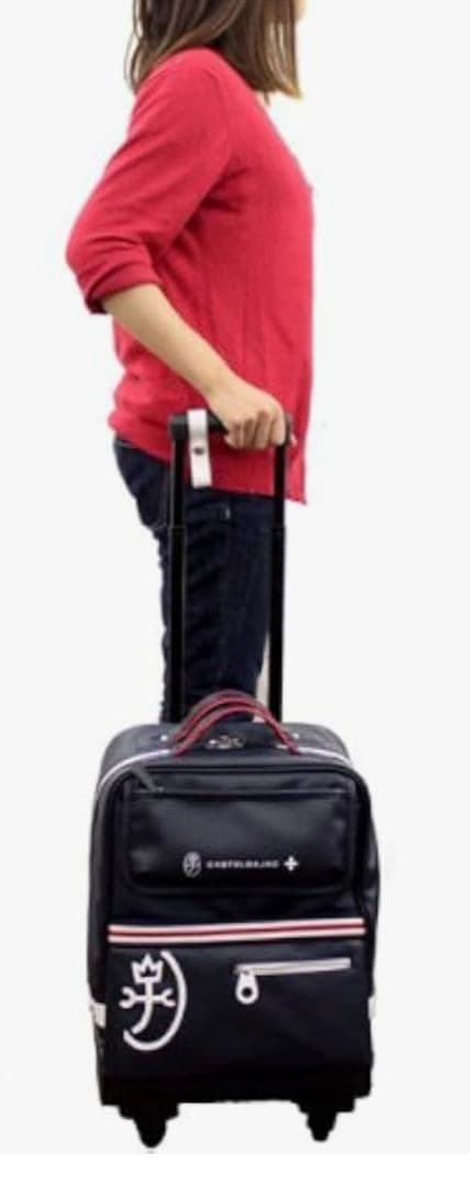 定価:22,000円 カステルバジャック パンセ キャリー 白 女性にも