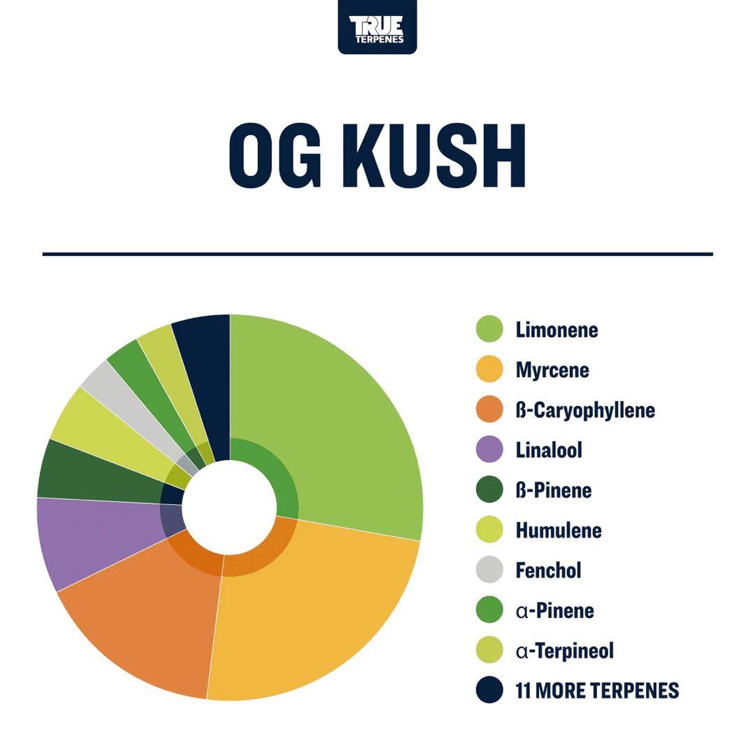 10ml】OG Kush／True Terpenes テルペン CBD CBN