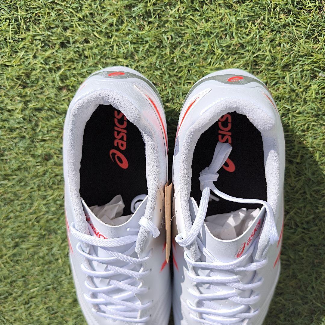 シューズ asics DS LIGHT ADVANCE WIDE 25.5cm