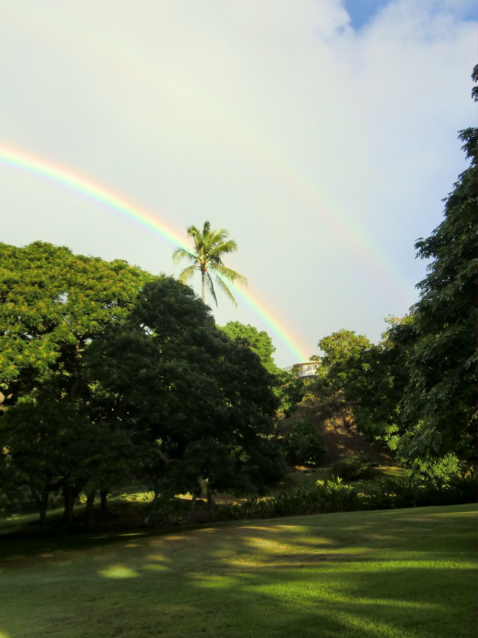 ルイスCティファニー ステンドグラス Rainbow 虹 グラスマスターズ社