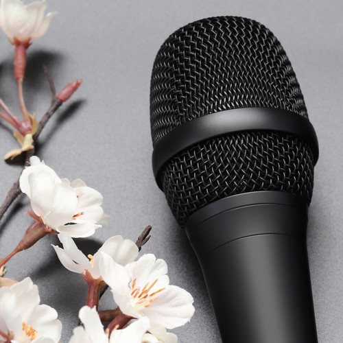 sakura | Yokohama Microphone