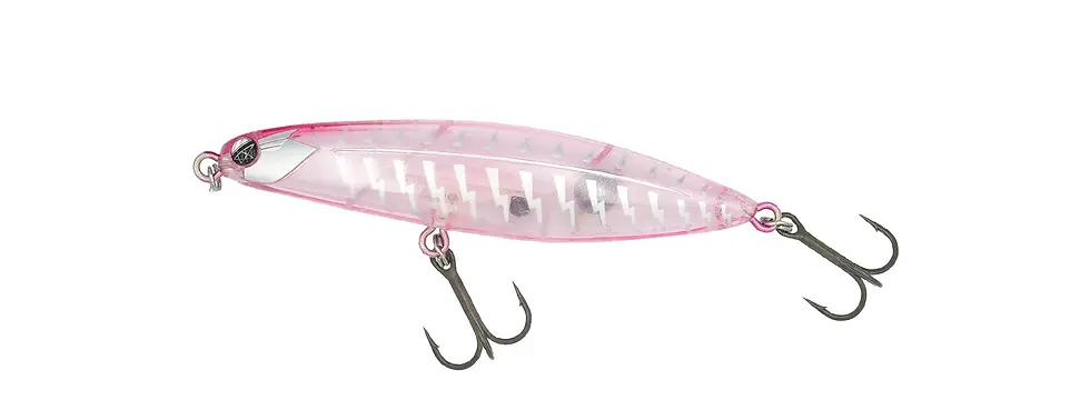 TYGAN 70 | FISH MAGNET Official Web Site
