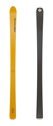 スキー Vector glide cordova Vector glide cordova スキー 180 vector