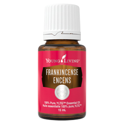 Frankincense Oil | Young Living Essential Oils