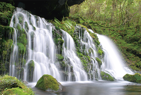 The Mystery and the Power of Nature Route (3D2N) | STAY AKITA
