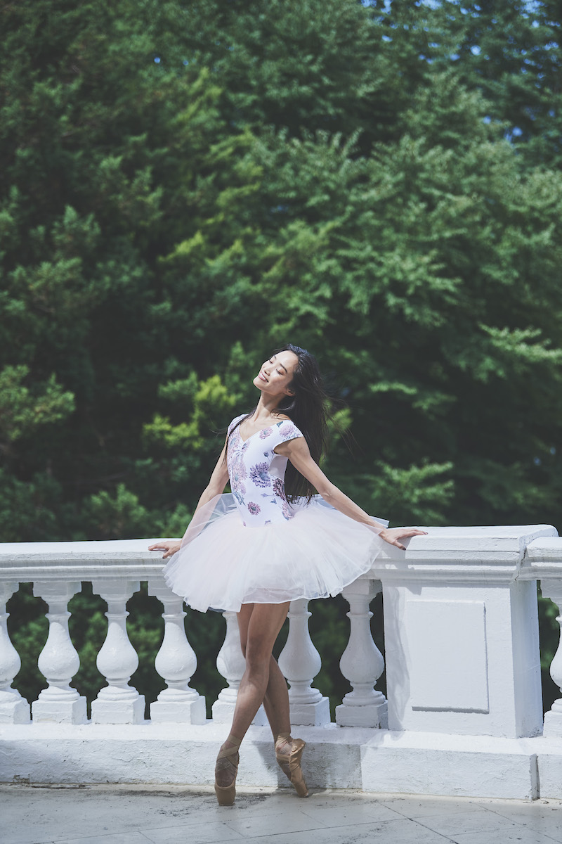 stina / type zero butterfly / Dahlia imperialis purple pink