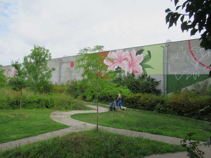 Artist Ciclope - Street Art Cities