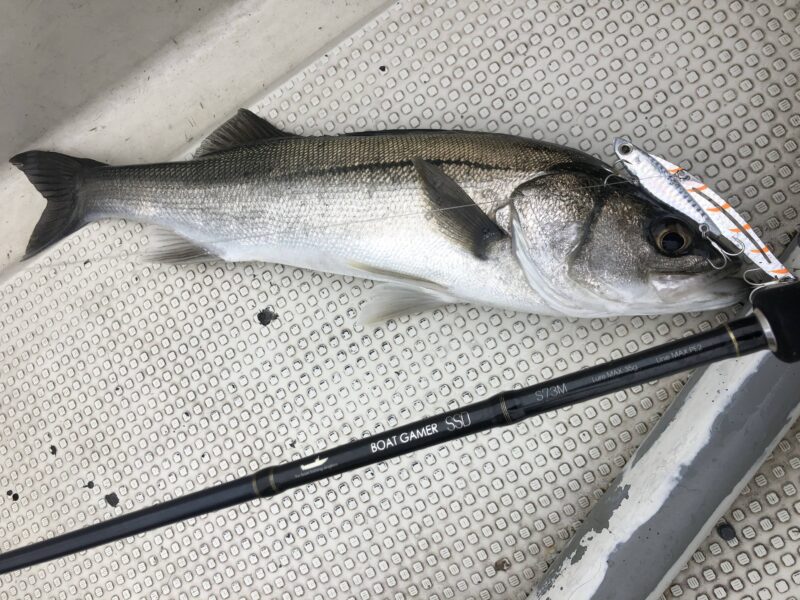 tailwalkの新作ボートシーバスロッド『BOAT GAMER SSD』シリーズをご