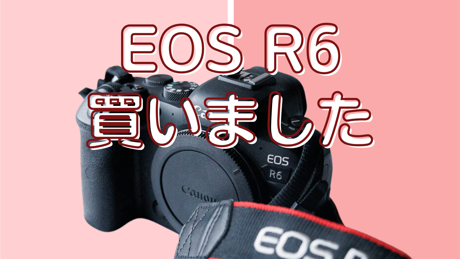 ☆Wi-Fi/動画☆Canon EOS 5D Mark IV標準レンズセット☆ 【公式通販】