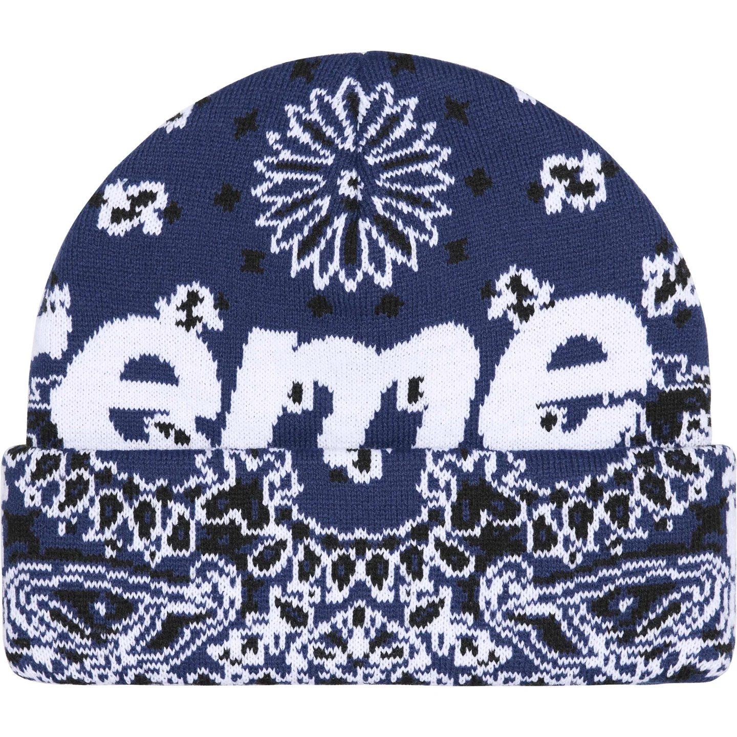 Big Logo Beanie | Supreme 24fw