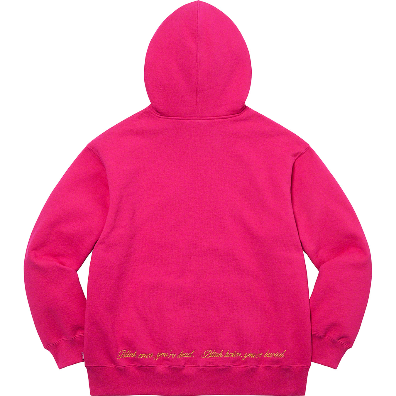 Supreme/Aeon Flux Zip Up Hooded Sweatshirt | Supreme 22ss