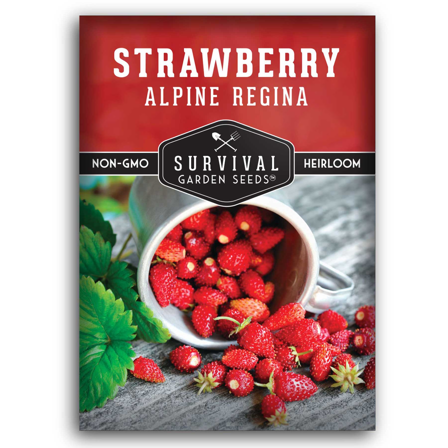 Alpine Regina Strawberry Seeds – SurvivalGardenSeeds