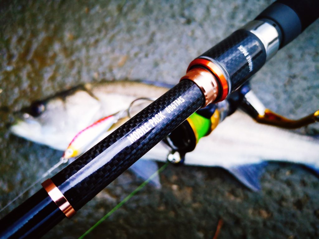 新品 Daiwa 806TMS モバイルパック ダイワ 楽天市場】(c)【取り寄せ